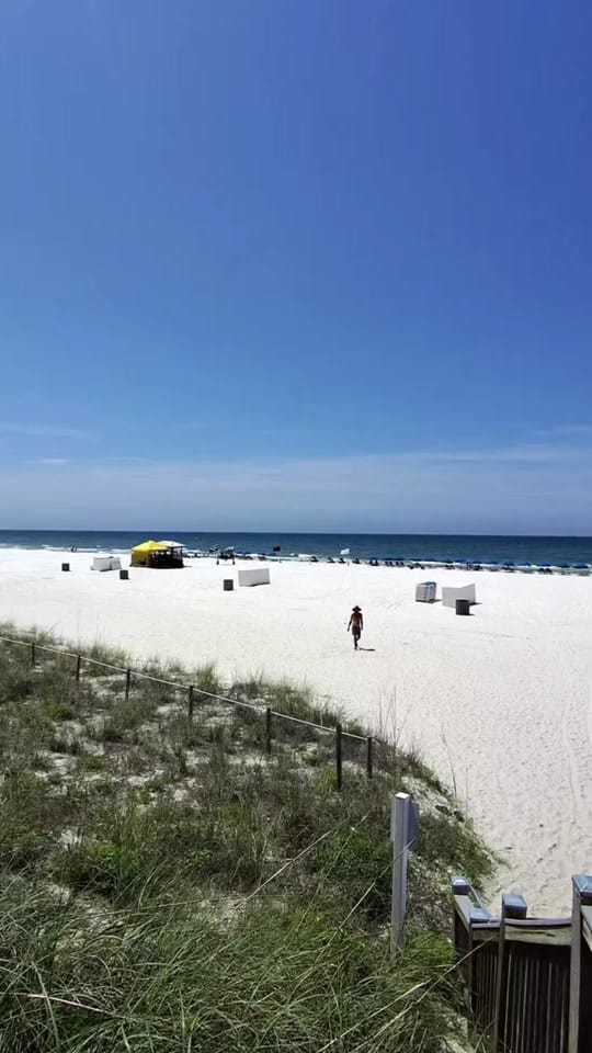 Post 5 by Beach Life on TikTok (video)