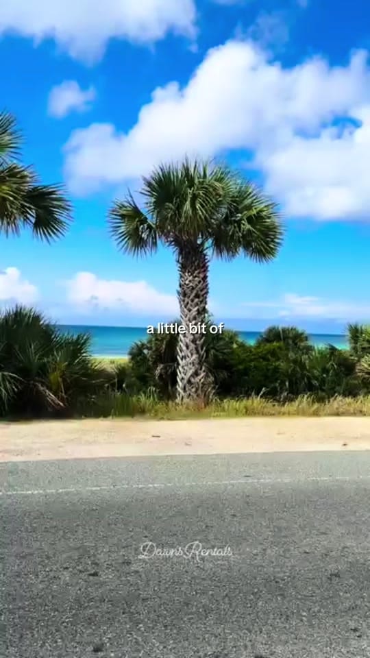 Post 3 by Beach Life on TikTok (video)