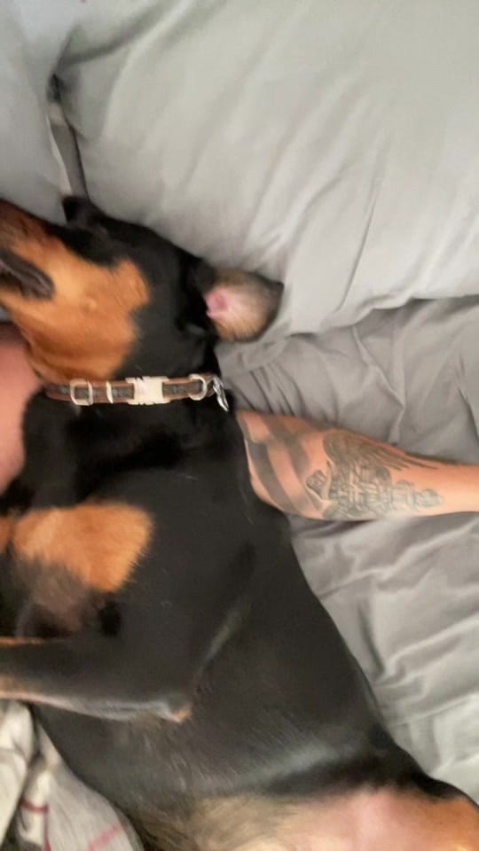 Post 5 by Justin Hitchcock on TikTok (video)