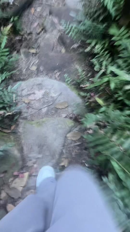 Post 8 by Serene on TikTok (video)