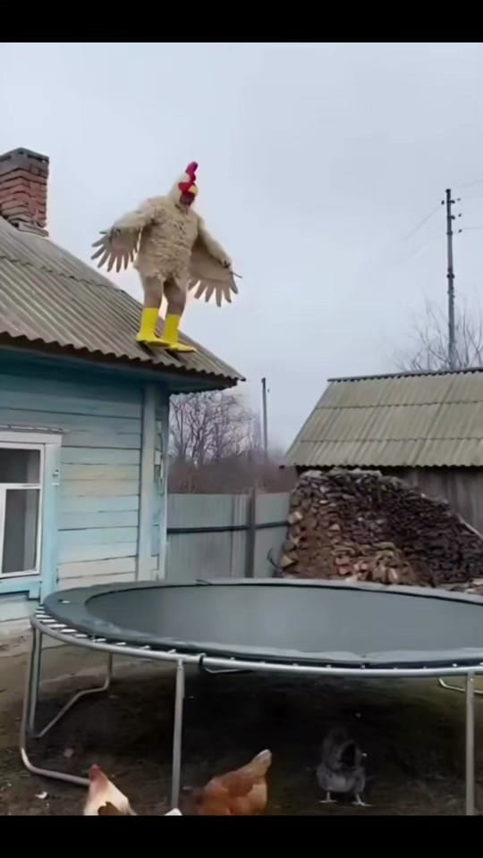Post 2 by Joey Wick on TikTok (video)