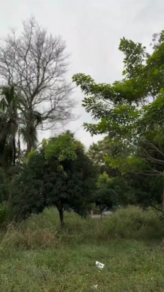 Post 1 by Joey Wick on TikTok (video)