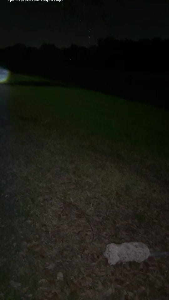 Post 1 by Baltazar 🔥 🔥🔥🔥🔥🔥🔥🔥🔥🔥 on TikTok (video)
