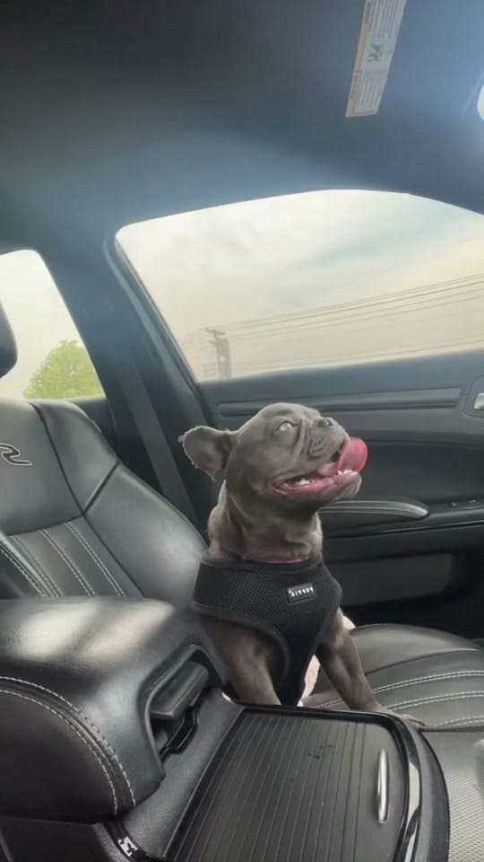 Post 8 by EGM VERGE🕺🏿 on TikTok (video)