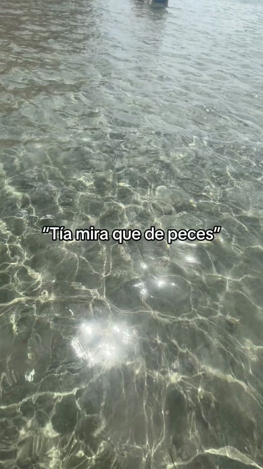 Post 9 by 🦋✨Laau✨🦋 on TikTok (video)