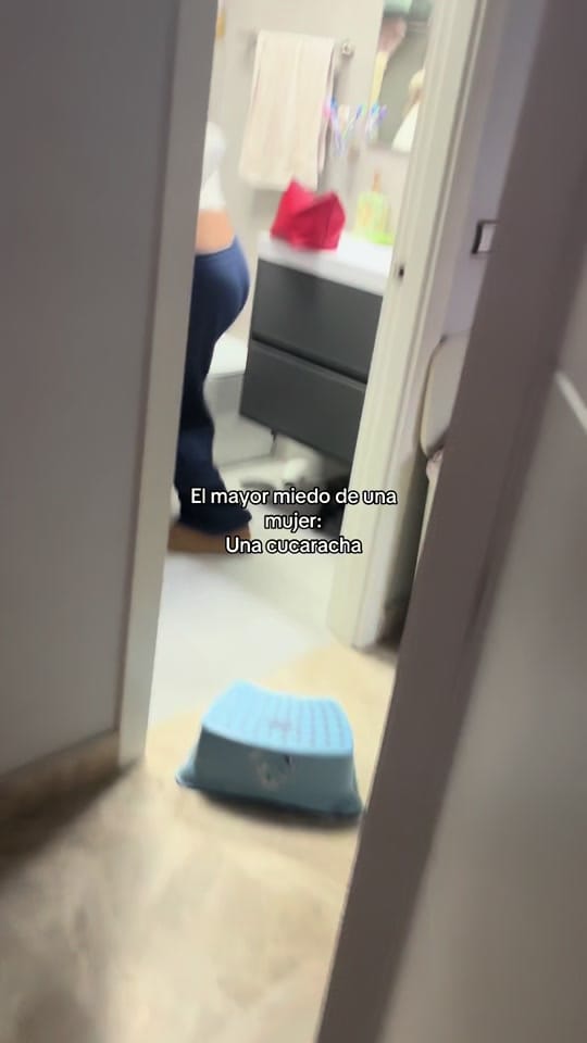 Post 1 by luciiahaaro on TikTok (video)