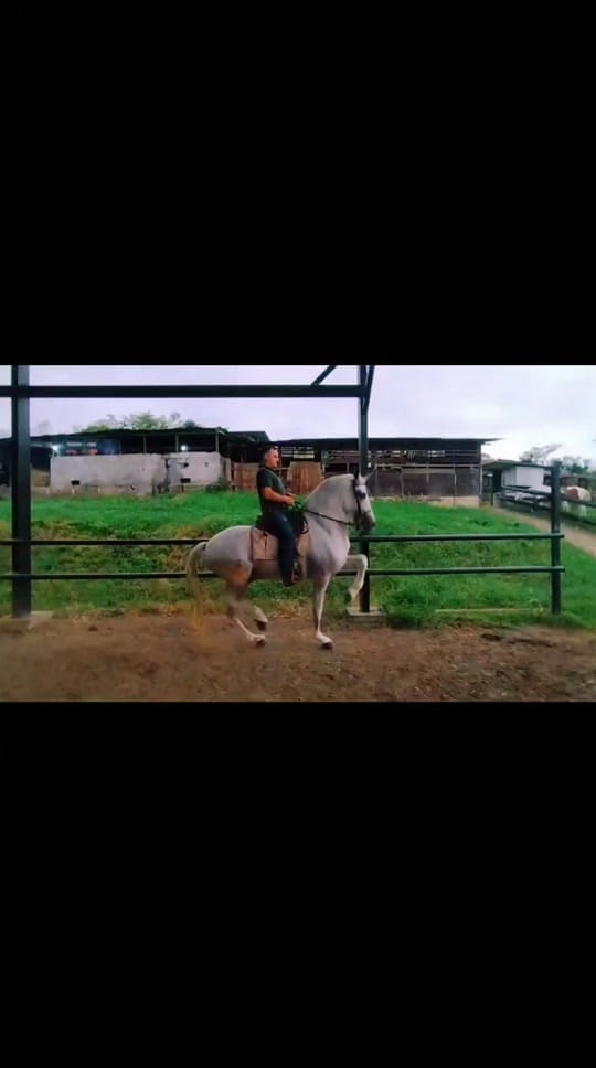 Post 10 by Oscar Villa 🇨🇷 on TikTok (video)