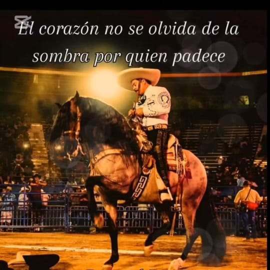 Post 5 by Oscar Villa 🇨🇷 on TikTok (video)