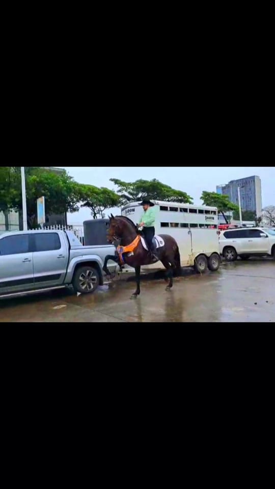 Post 1 by Oscar Villa 🇨🇷 on TikTok (video)