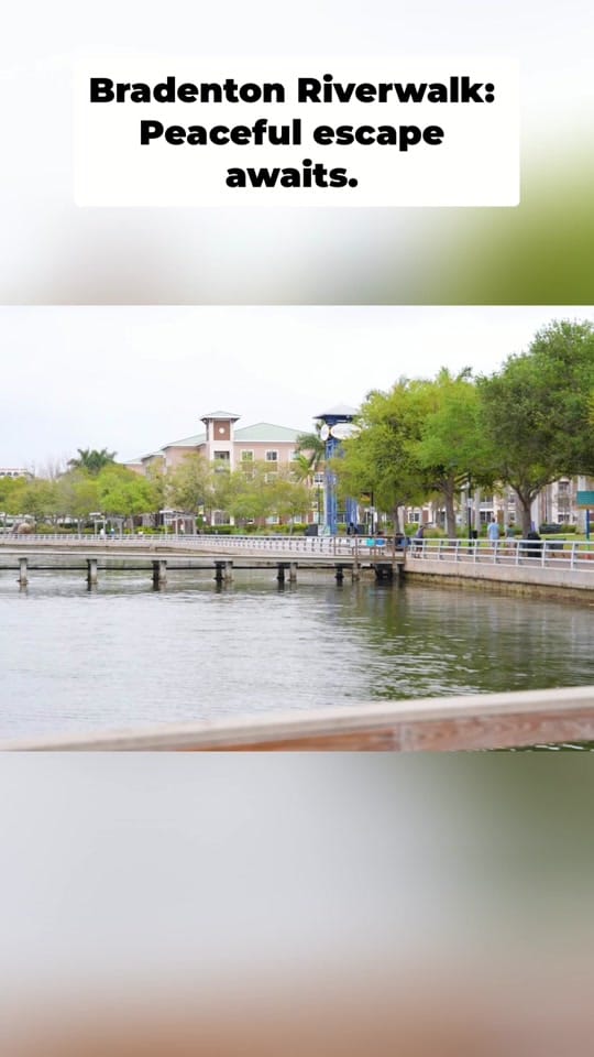 Post 3 by The Real Realtor of Sarasota on TikTok (video)