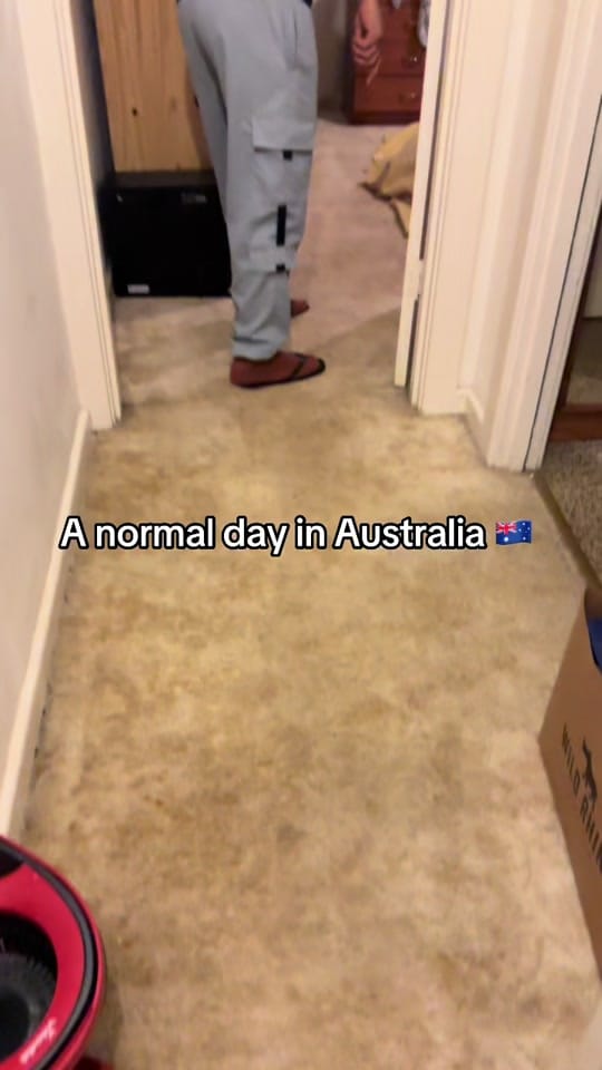 Post 8 by Fran Dias Rufino on TikTok (video)
