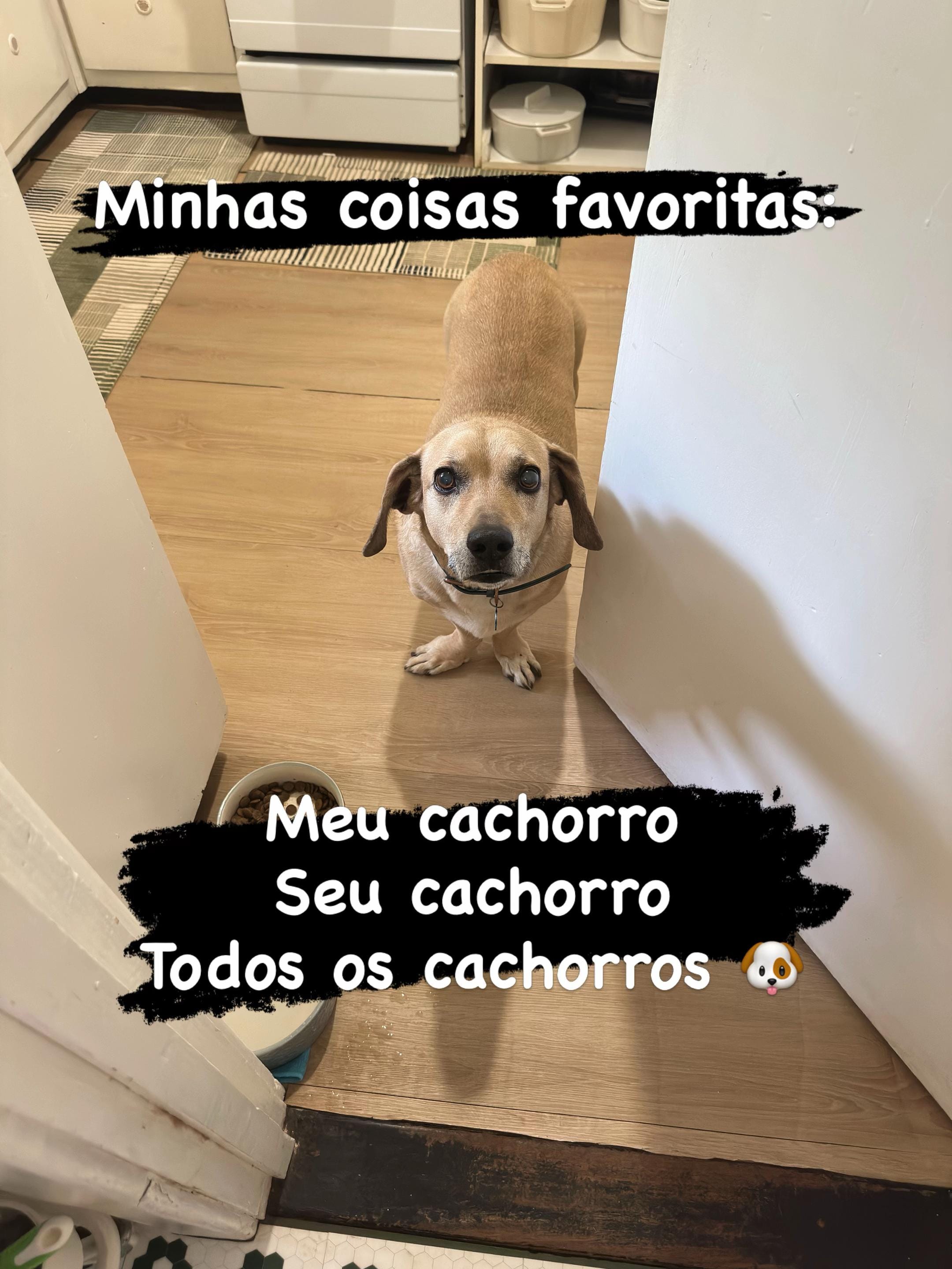 Post 3 by Fran Dias Rufino on TikTok (video)