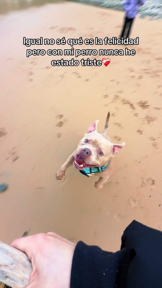 Post 1 by NURIIA & YEIICO🐾🌸 on TikTok (video)