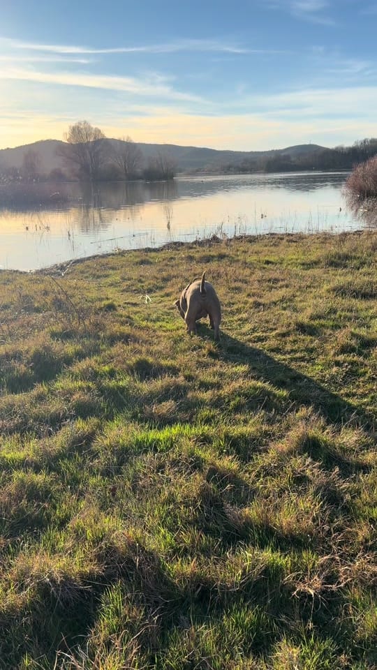Post 5 by NURIIA & YEIICO🐾🌸 on TikTok (video)