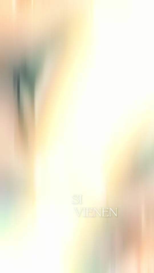 Post 4 by vaneelarrea on TikTok (video)