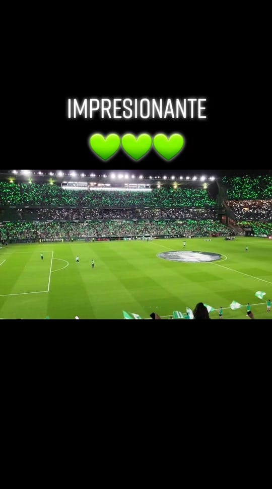 Post 7 by Amanda on TikTok (video)