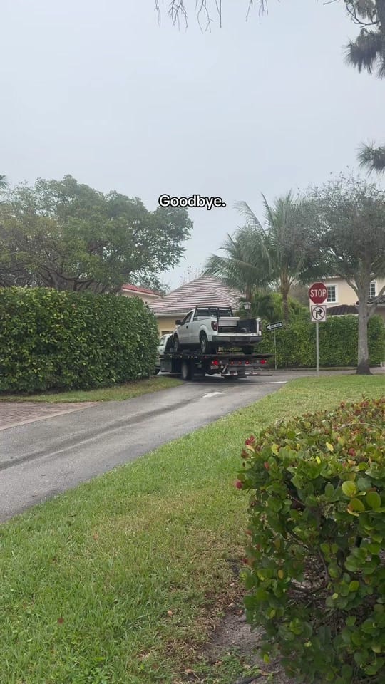Post 7 by NightShadeFPIU on TikTok (video)
