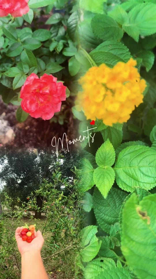 Post 8 by Kevin Cambero | Realtor® on TikTok (video)