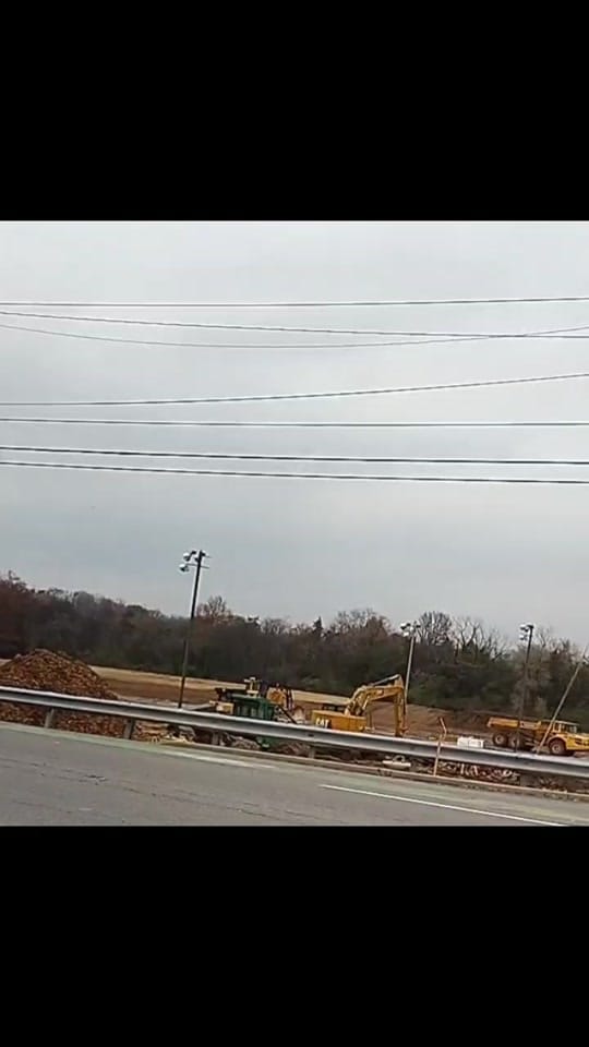 Post 5 by Lisa Woods on TikTok (video)