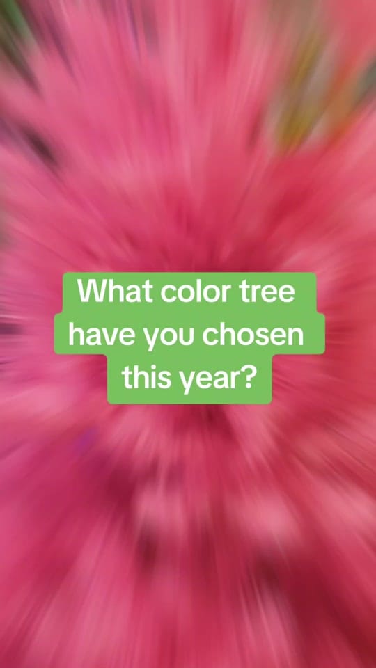 Post 8 by Lisa Woods on TikTok (video)