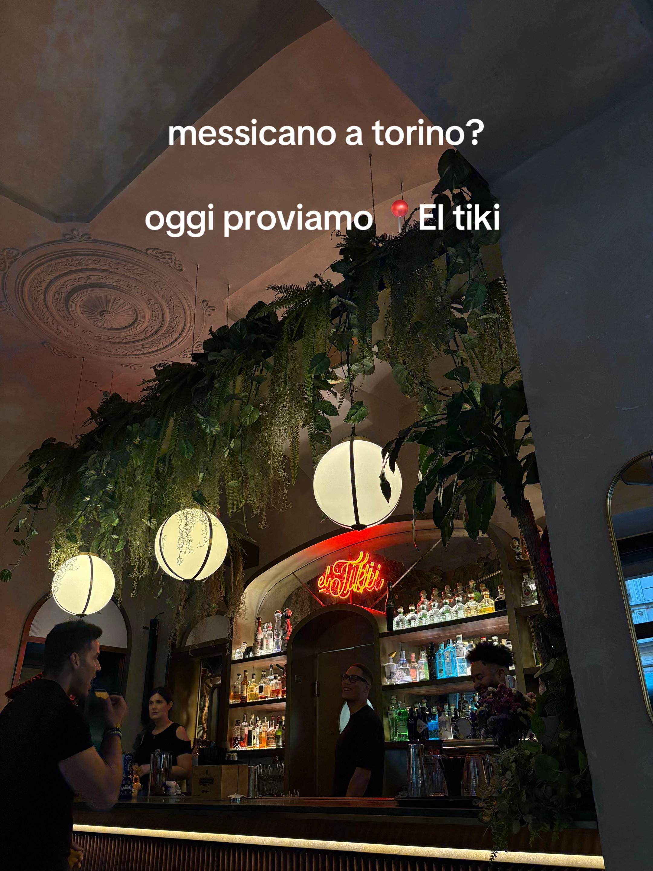 Post 5 by ludovica🇦🇺 on TikTok (video)