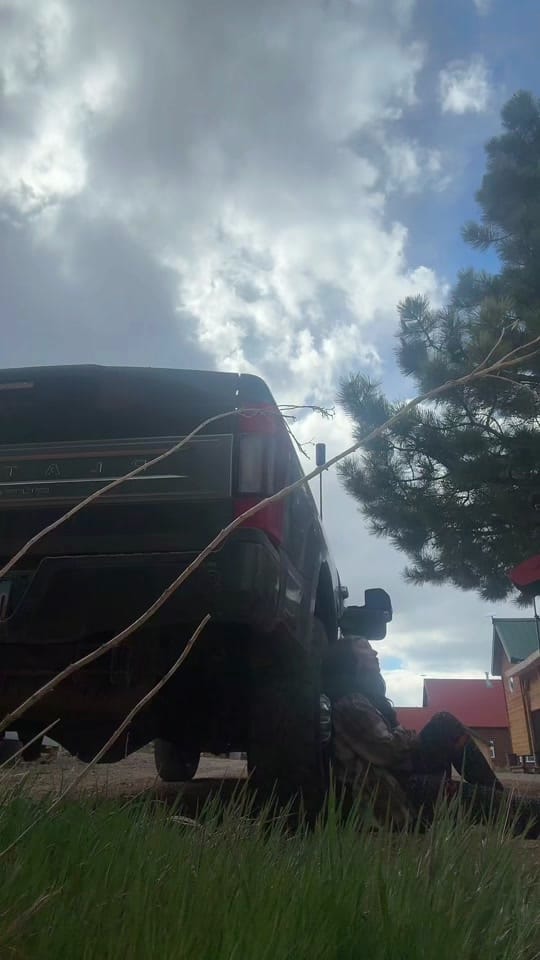 Post 6 by steph.marie435 on TikTok (video)