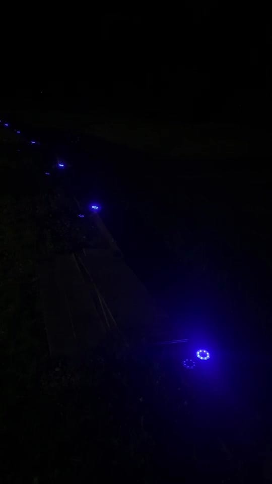 Post 2 by FrankInNashville on TikTok (video)