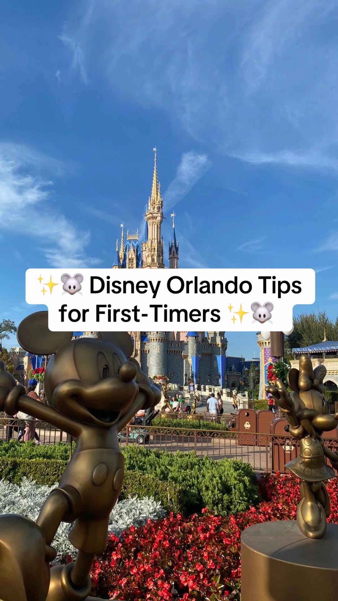 Post 1 by Orlando Villa Rentals on TikTok (video)