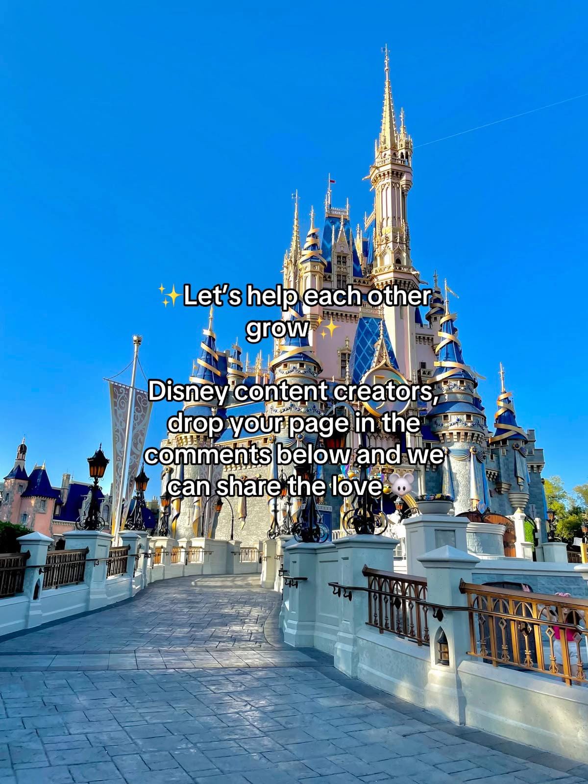 Post 4 by Orlando Villa Rentals on TikTok (video)