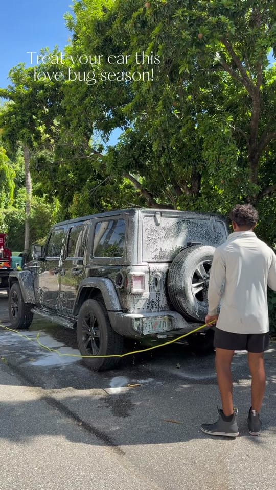 Post 2 by Blue Line Realty SWFL on TikTok (video)