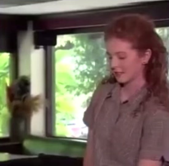 Post 4 by Valium Village on TikTok (video)