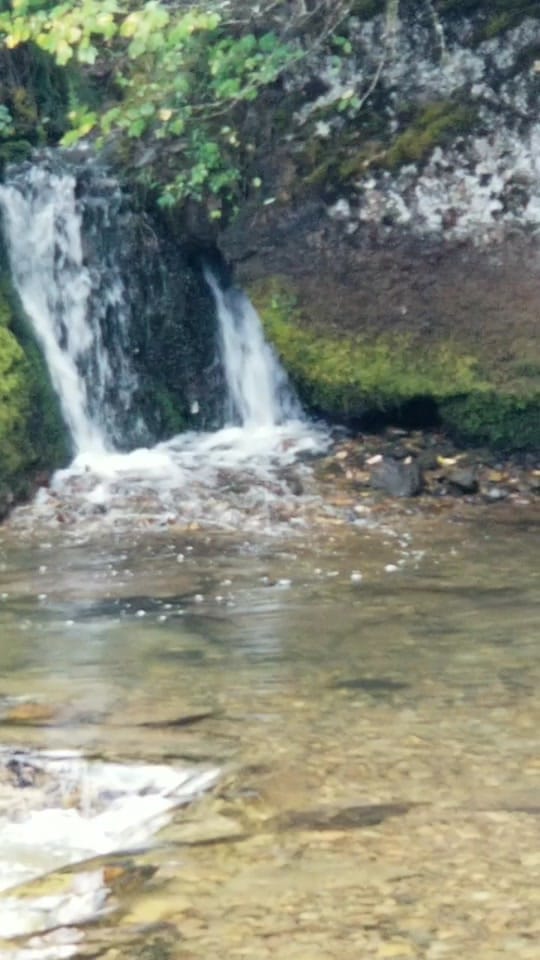 Post 9 by Ang on TikTok (video)