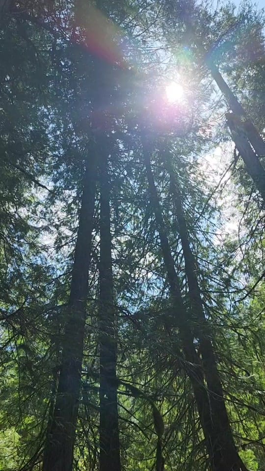 Post 2 by Ang on TikTok (video)