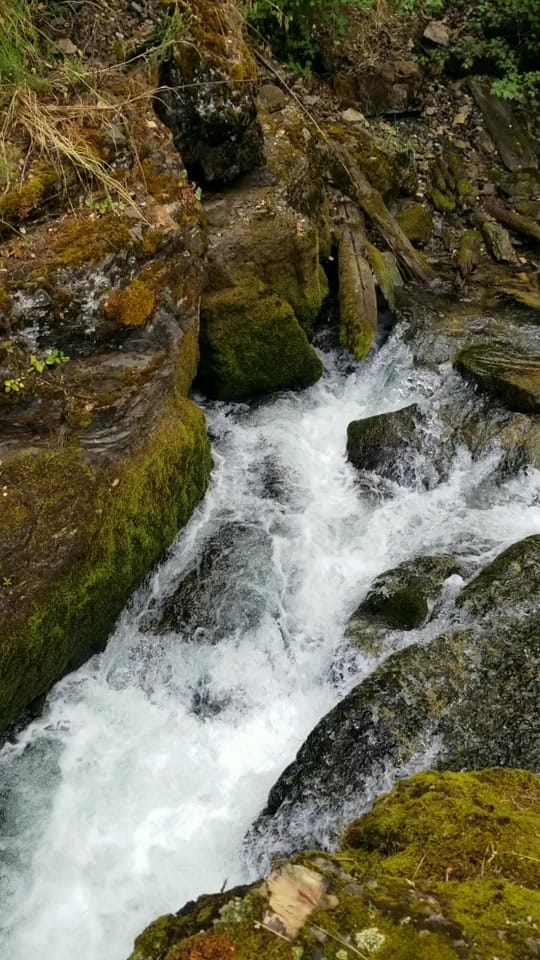 Post 8 by Ang on TikTok (video)