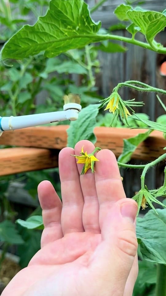 Post 6 by Real Farmer Jeff on TikTok (video)