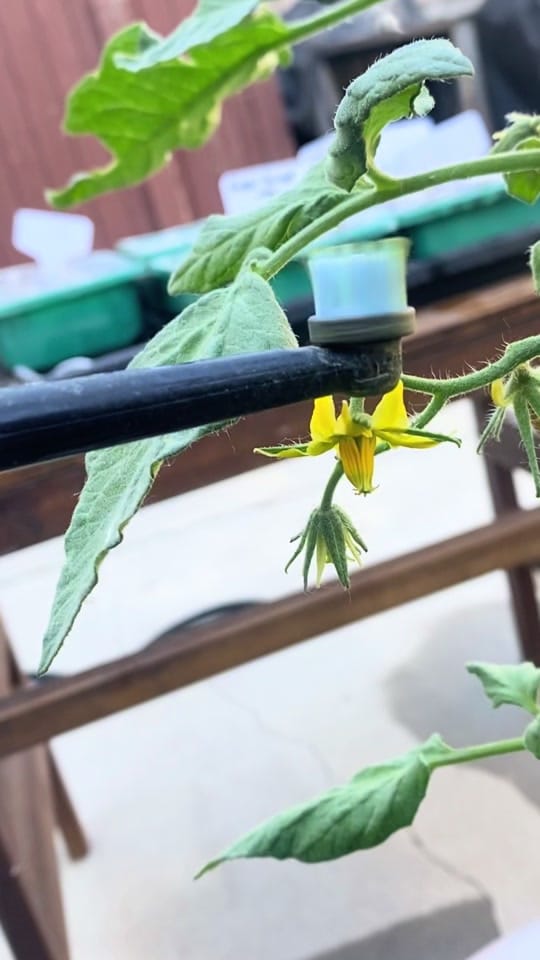 Post 8 by Real Farmer Jeff on TikTok (video)