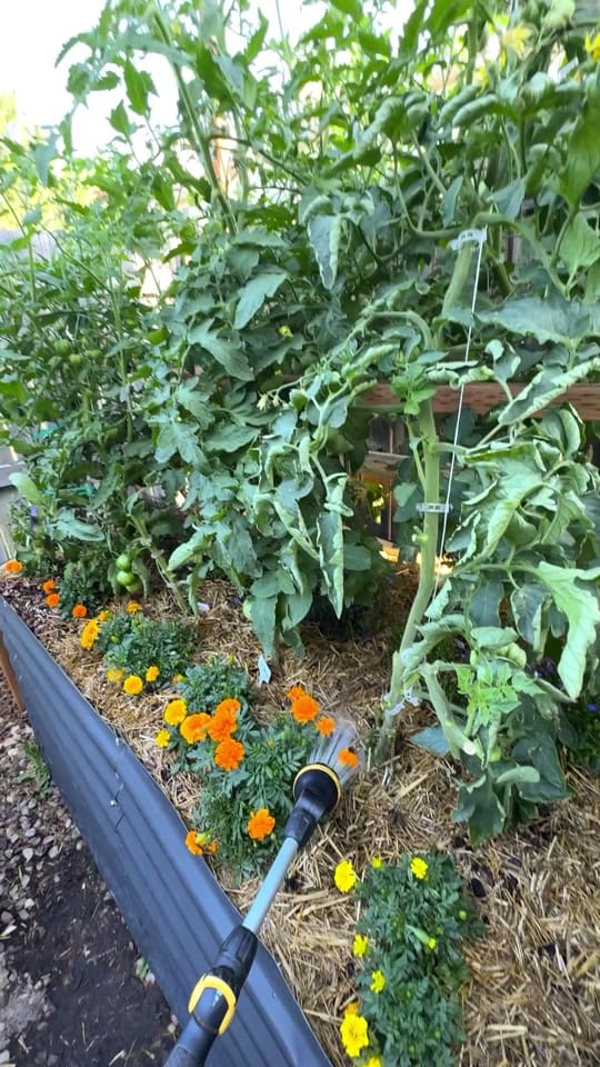Post 7 by Real Farmer Jeff on TikTok (video)