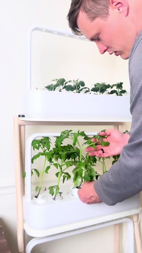 Post 2 by Real Farmer Jeff on TikTok (video)