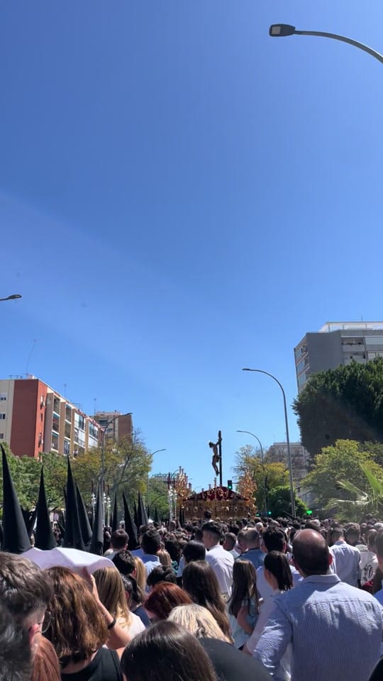 Post 5 by Pasión de Sevilla on TikTok (video)