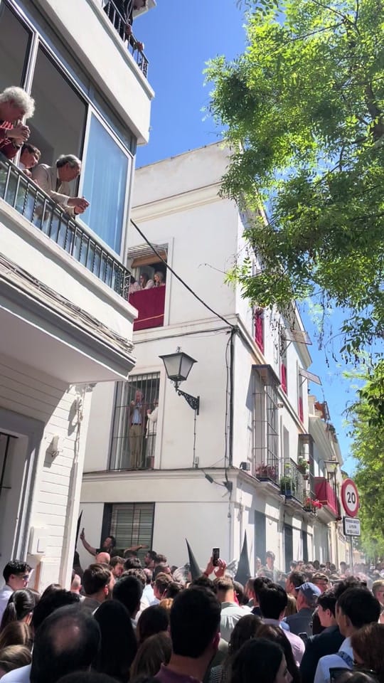 Post 6 by Pasión de Sevilla on TikTok (video)