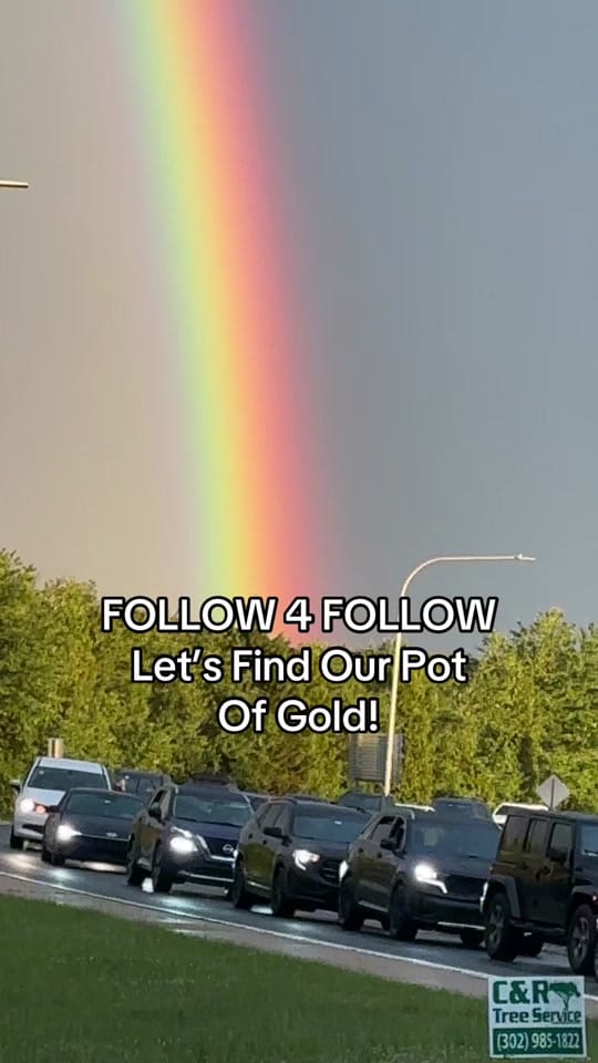 Post 4 by Gypsy Mom ❌ on TikTok (video)