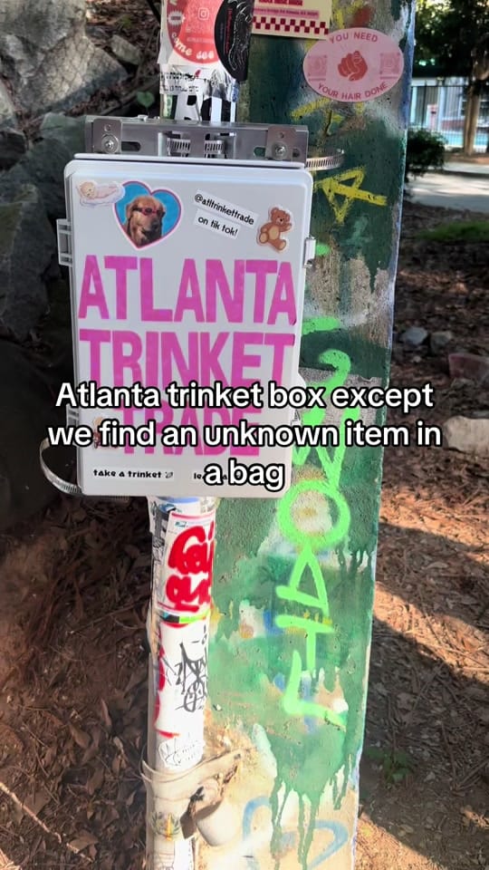Post 4 by Sydney Morgan Cartier on TikTok (video)