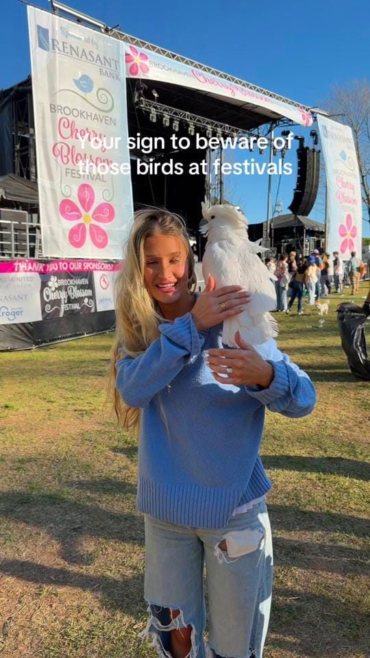 Post 5 by Sydney Morgan Cartier on TikTok (video)