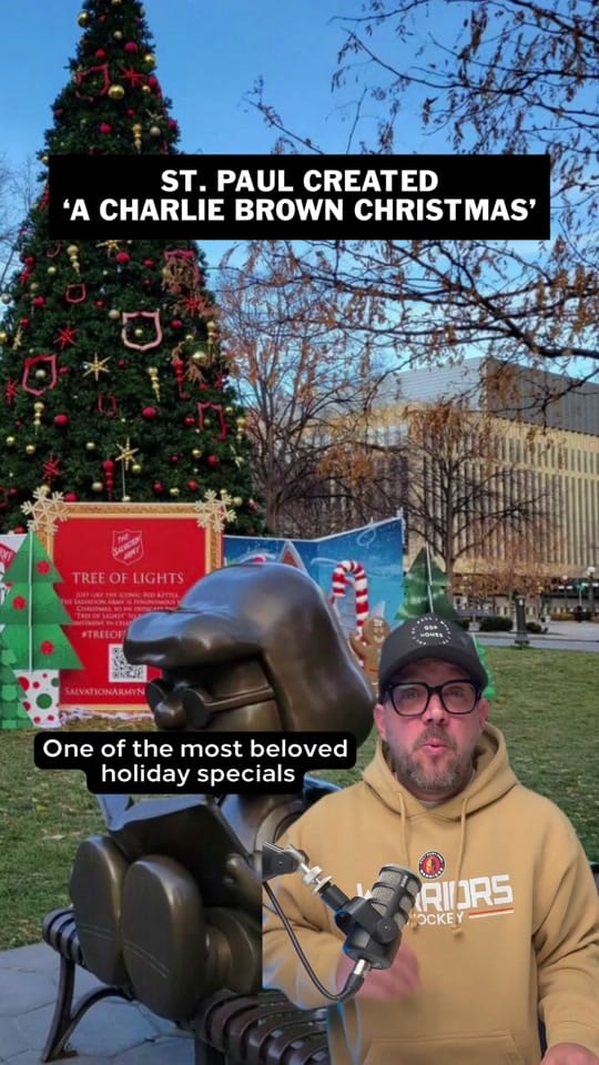 Post 3 by twincities_best on TikTok (video)