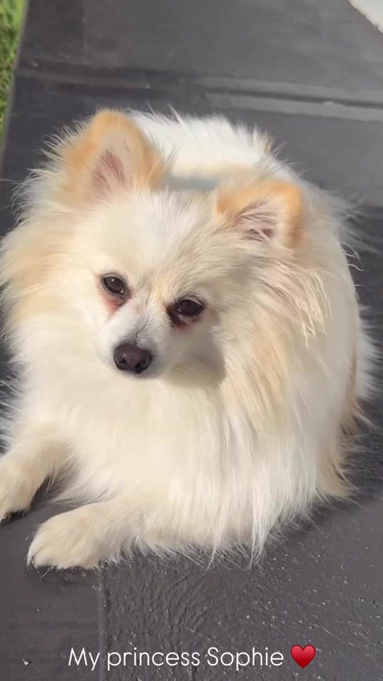 Post 4 by Rosemary Khall - Makeup Artist on TikTok (video)
