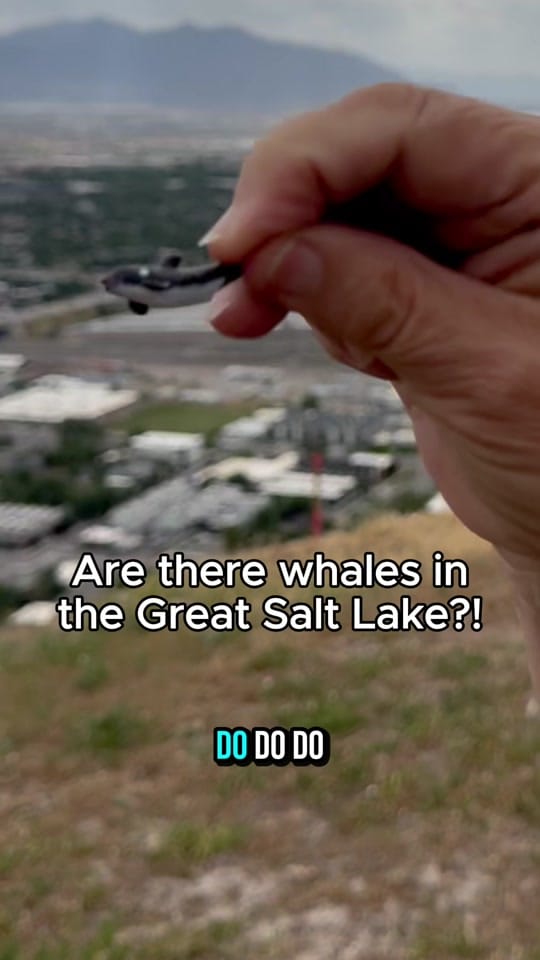 Post 4 by Babs De Lay | Utah REALTOR® on TikTok (video)