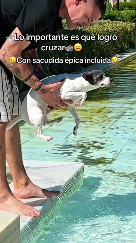 Post 9 by yosoymylly on TikTok (video)