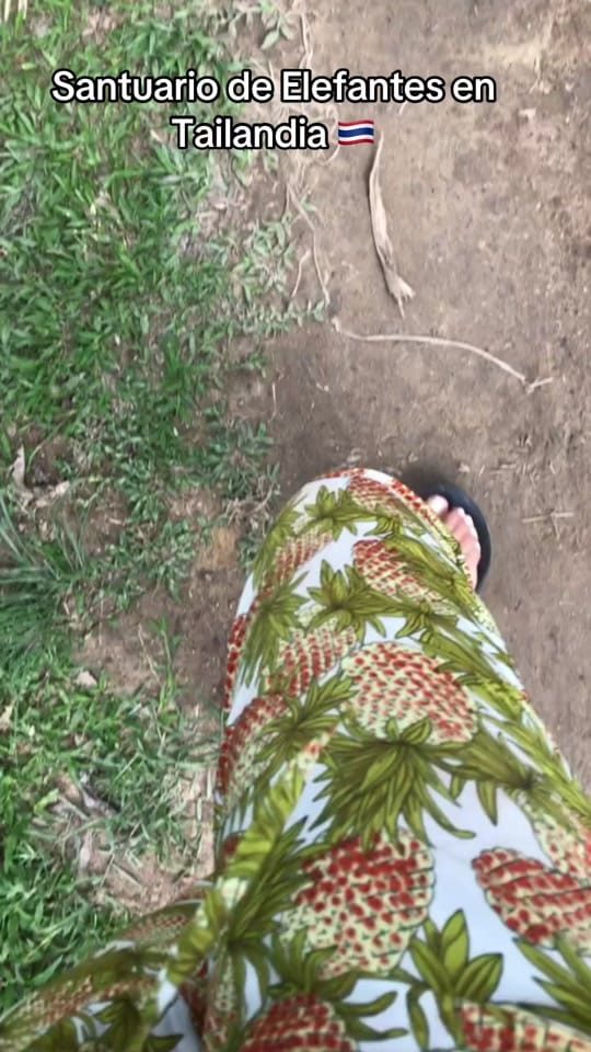 Post 1 by marcela_tax on TikTok (video)