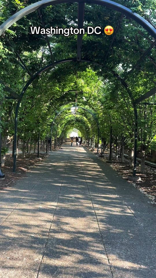 Post 10 by marcela_tax on TikTok (video)