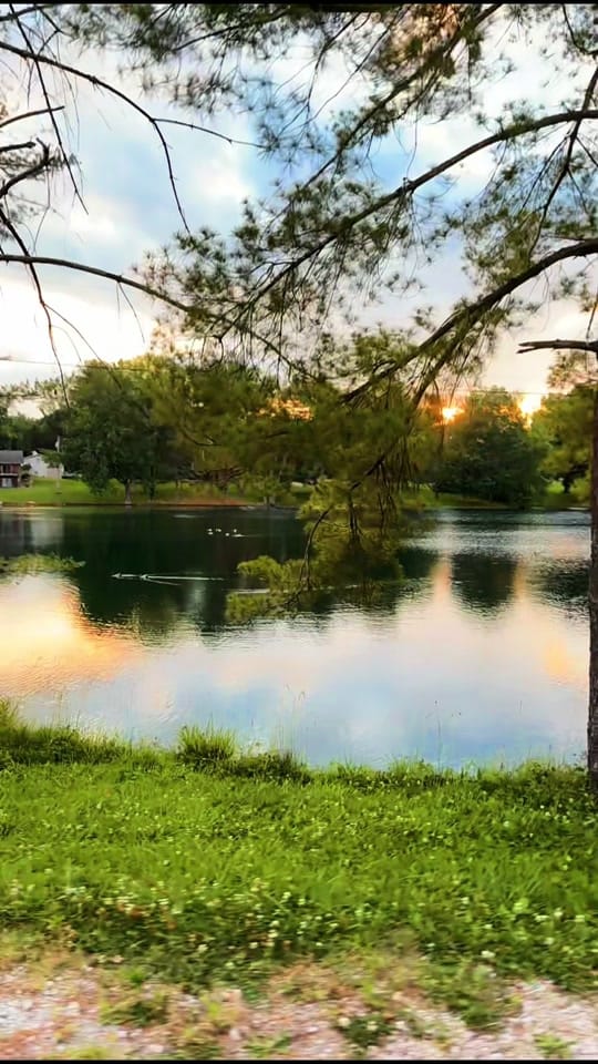 Post 1 by Alysia on TikTok (video)